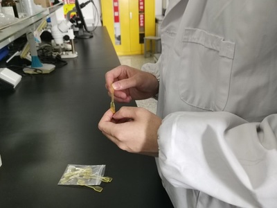 打破“新材料之王”回收困局，鹽城工學(xué)院團(tuán)隊(duì)研發(fā)“可重生”綠色CFRP生物基材料技術(shù)